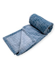 Mothers Choice Printed Flannel Baby Blanket - Dinosaurs