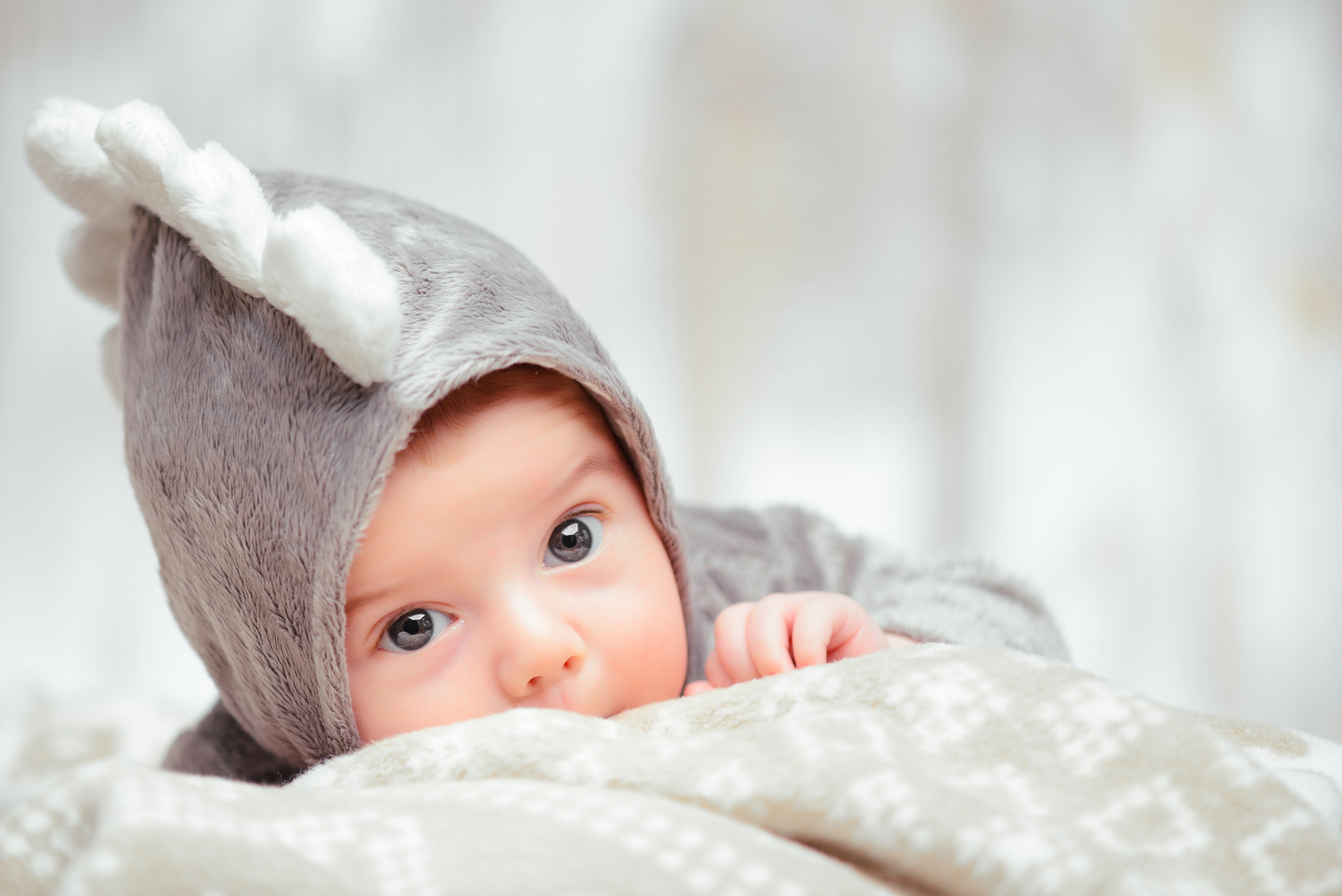 Soft Embrace: Exploring Mother's Choice Signature Soft Goods at Stork and Baby