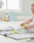 Stork and Baby 2 pack teether bibs with feathers and